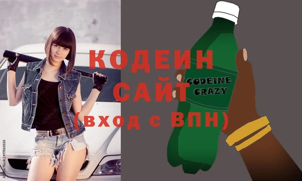 мдпв Инсар