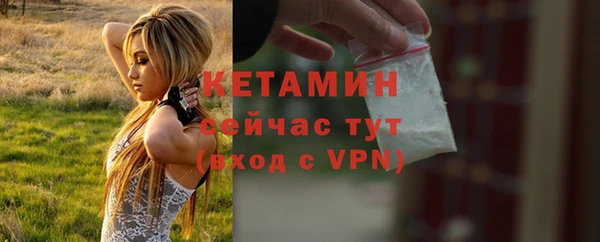 мдпв Инсар