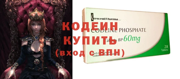 мдпв Инсар