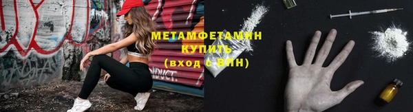 мдпв Инсар