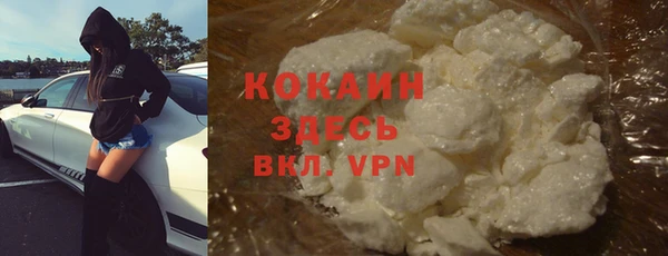 мдпв Инсар