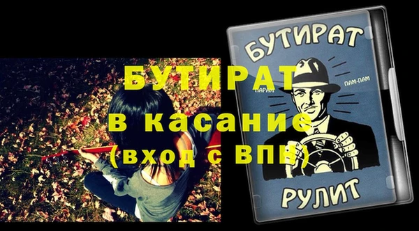 мдпв Инсар