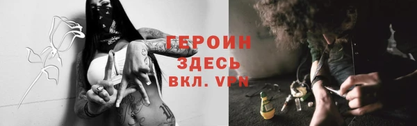 мдпв Инсар