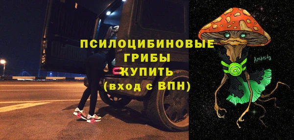 мдпв Инсар