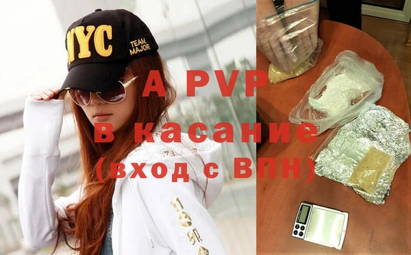 мдпв Инсар