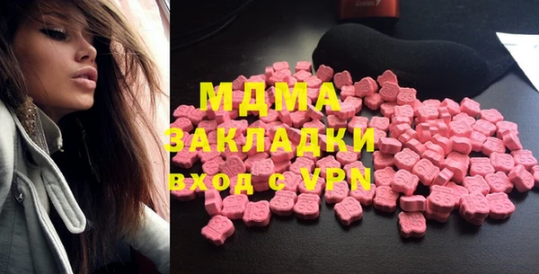 мдпв Инсар