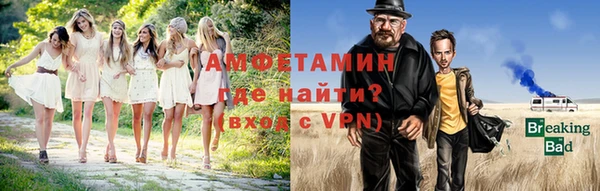 мдпв Инсар