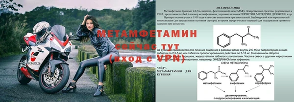 мдпв Инсар