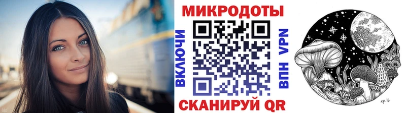 цена наркотик  Элиста  Псилоцибиновые грибы Psilocybe 