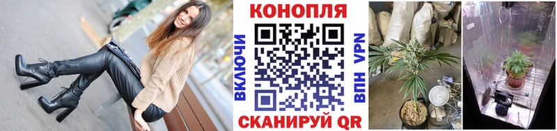Каннабис OG Kush  Элиста 